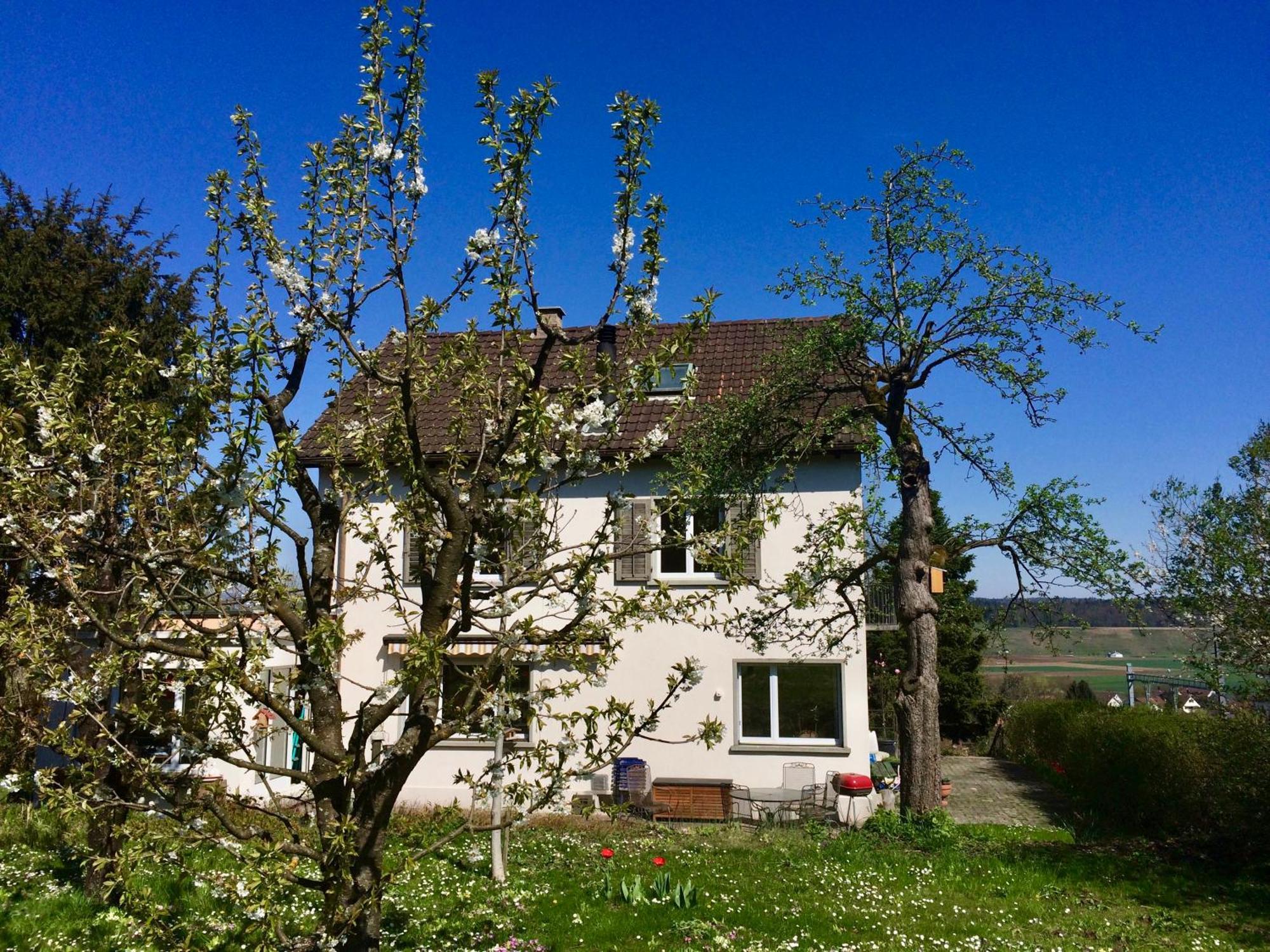 Guntli'S Family Guesthouse Andelfingen Esterno foto